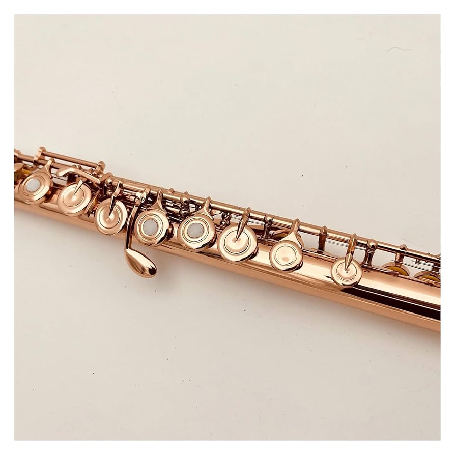 Amazon.co.jp: フルート 17 穴 クローズドホール C 赤銅